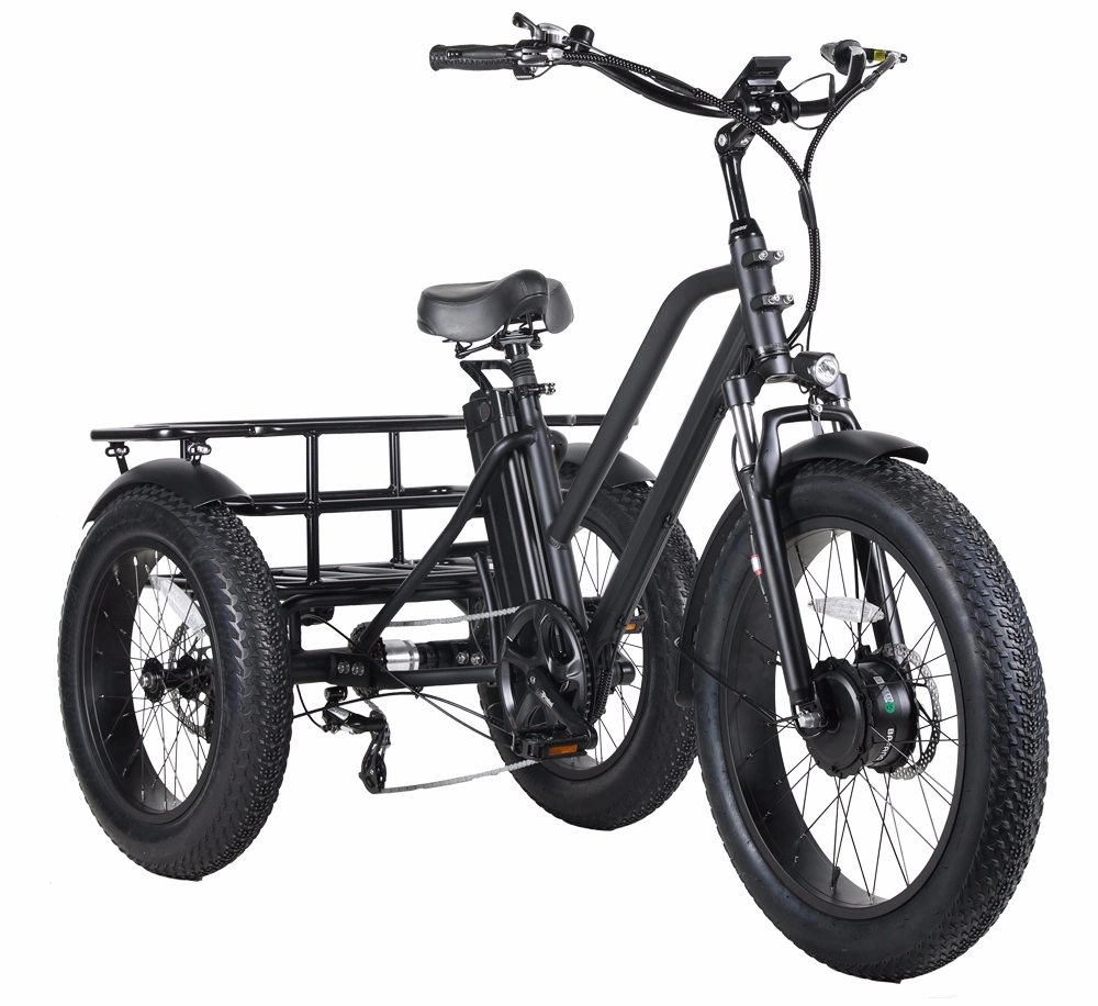 Three Wheels Electric Cargo Bike 48V500W Front Hub Motor Electric Tricycle 20inch 4.0 Fat Tire Tricycle with Basket