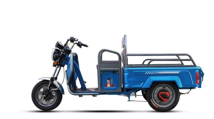 2023 Hot Selling Enclosed Cabin Cargo Electric Tricycles China Wholesale Cheap 800W Motor Cheap Price Three Wheel Tricycle for Cargo