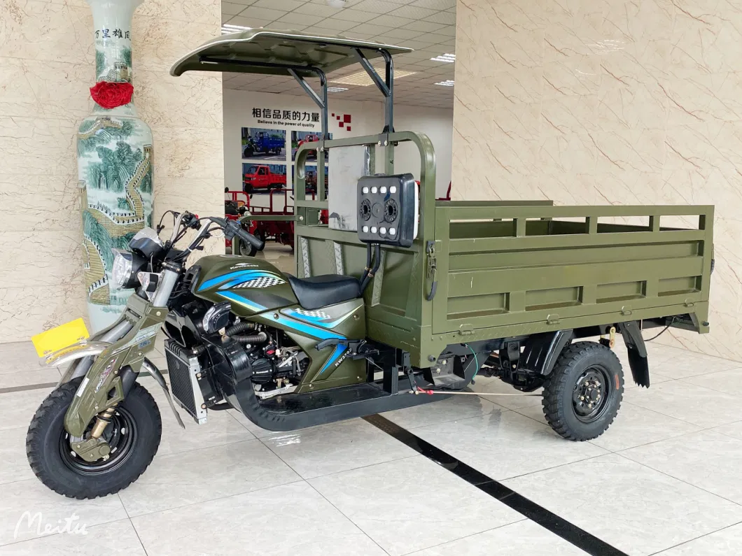 Competitive Price Good Quality 3 Wheel Cargo New Gasoline Tricycles