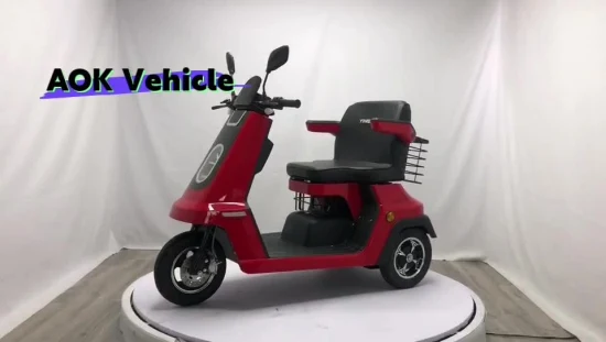 500W /1000W 60V/ 48V gros pneu trois roues un siège scooter électrique, véhicule électrique, tricycle électrique pour passager ou handicapé