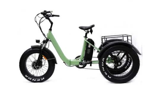 Usine professionnelle 500W moteur 3 roues Cargo électrique Ebike tricycle électrique