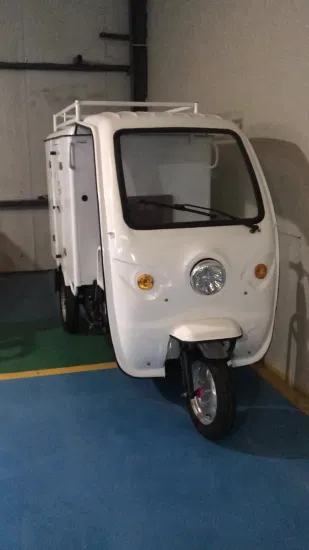 Tricycle électrique cargo 800W 1000W avec boîte arrière fermée pour livraison express