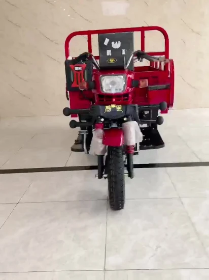 Pousse-pousse adulte à trois roues de passager de chargeur de cargaison à vendre nouveau tricycle d'ambulance électrique