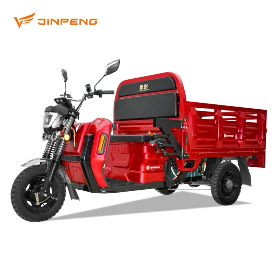 Tricycle électrique intelligent 60V/72V, 1000W, moteur différentiel, 3 roues, pour passagers et transporteurs de marchandises