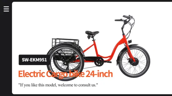 Tricycle électrique combiné d'importation de vélo de cargaison de famille du distributeur automatique 48V de Chine