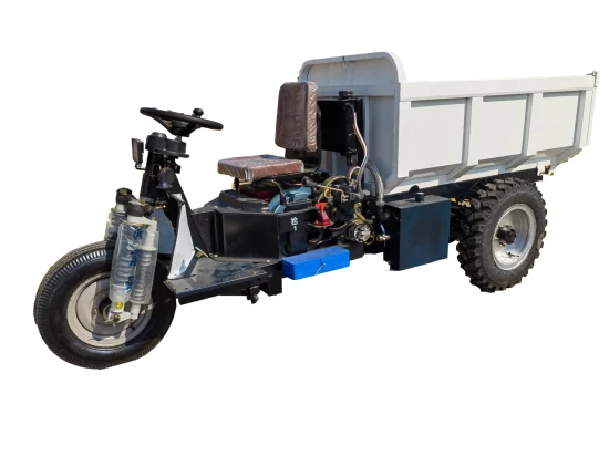 Tricycle pour marchandises lourdes, huile diesel, tricycles à carburant pour moto à 3 roues