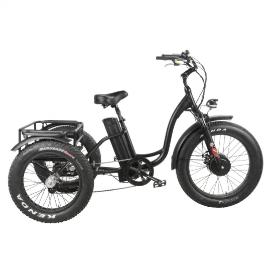 Vélo cargo électrique à trois roues 48V500W, moteur dans le moyeu avant, Tricycle électrique de 20 pouces, pneus larges 4.0 avec panier