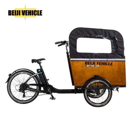 Offre spéciale vélo électrique 250W moteur 3 roues vélo cargo électrique avec boîte en bois Tricycle pour transporter des enfants et des animaux domestiques