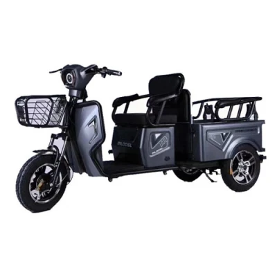 Tricycle électrique de passager de 48V 500W