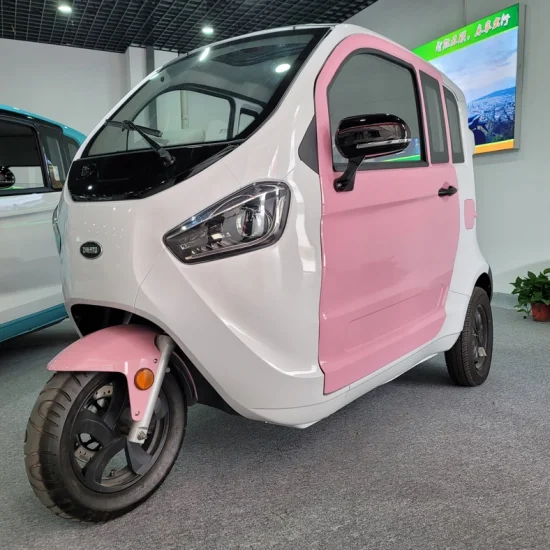 Tricycle électrique de passager de cargaison de moteur de trois roues fermé par adulte avec la batterie