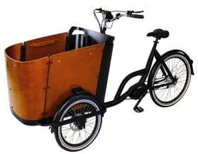 Tricycle électrique de vélo de cargaison du moteur 250W MID avec le vélo néerlandais de boîte en bois