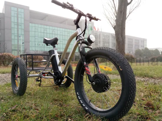 Tricycle électrique à trois roues Fat Tire Cargo pour Beach Cruiser