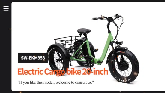 Prix ​​bon marché autre tricycle électrique à entraînement moteur parent-enfant